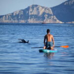 Golfo Aranci: Sup with dolphins, aperitif & photo shoot - Day-by-Day Breakdown of the Tour