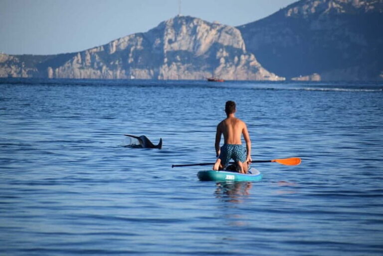 Golfo Aranci: Sup with dolphins, aperitif & photo shoot - Day-by-Day Breakdown of the Tour