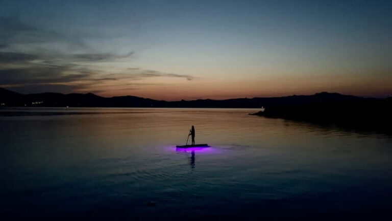 Golfo Aranci, Sup with Dolphins under the Stars - What Makes This Tour Special?