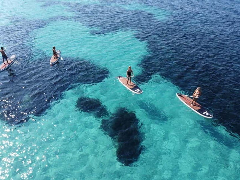 Golfo Aranci tour SUP Paddleboard Dolphin watching, aperitif - Discovering the Golfo Aranci Experience