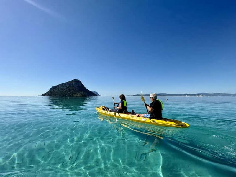 Golfo Aranci:Small group, german guided Kayak tour&Dolphins - Detailed Breakdown of the Itinerary
