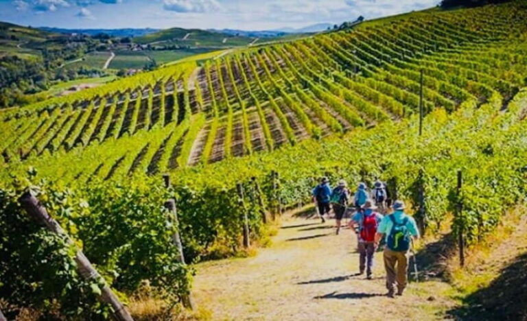 Gourmet & Wine: The Heart of Tuscany in a Day - Who Will Appreciate This Tour Most?