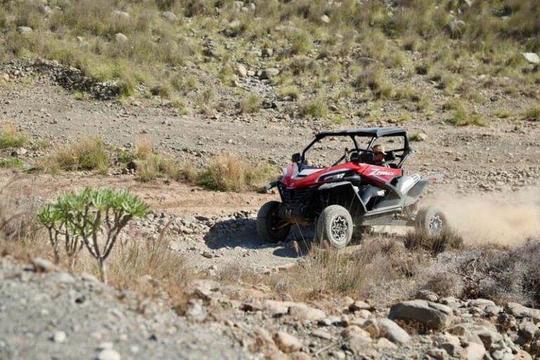 Gran Canaria: Buggy Tour Morning OR Midday- LONG TOUR 2.5 HR - Authentic Insights from Reviewers