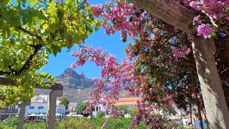Gran Canaria: Highlights & hidden gems by 2 local guides - Why This Tour Offers Great Value