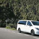 Gran Canaria: Island Highlights Tour with Optional Lunch - Transportation and Group Experience