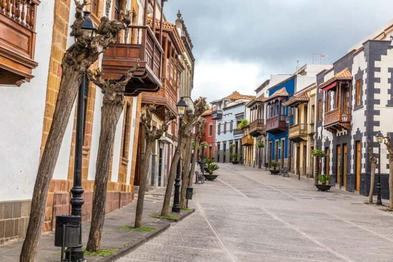 Gran Canaria Peaks in Minibus: Firgas, Teror, Aloe Vera tour - The Itinerary in Detail: What to Expect