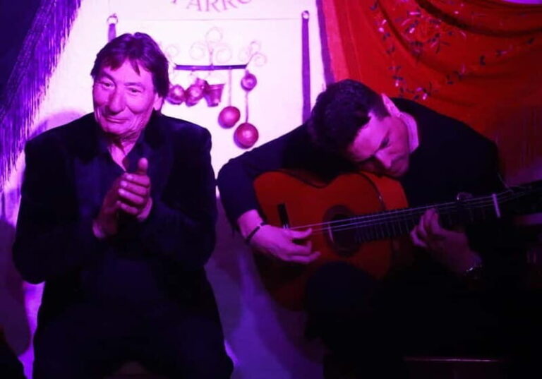 Granada: Flamenco Los Parrones in the Sacromonte Caves - What to Expect from the Flamenco Los Parrones Tour
