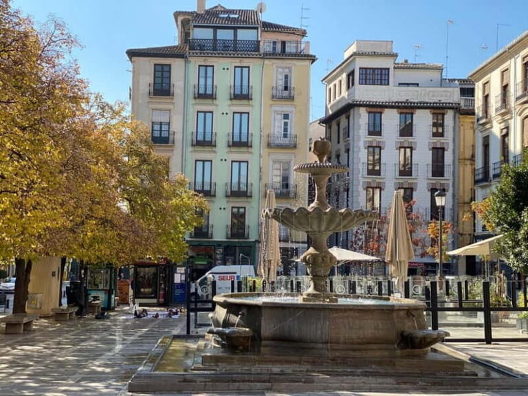 Granada: Guided City Tour with a Local Enthusiast - The Value of This Guided Tour