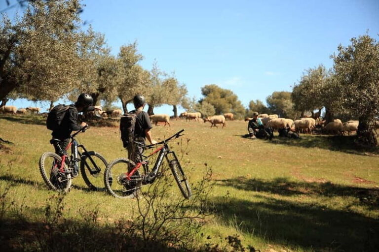 Granada: Nature, Wildlife and Authentic Villages E-bike Tour - What’s Included and What’s Not