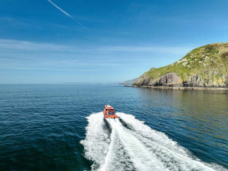 Great Blasket Island Wildlife Tour with Island Landing - A Closer Look at the Itinerary