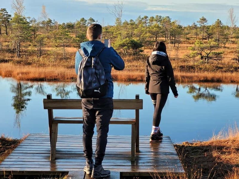Great emeri Bog & Swamp Forest Hiking Adventure - Breaking Down the Itinerary