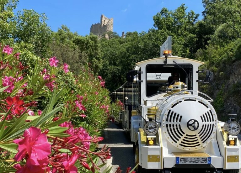 Grimaud: Guided Tour of Port Grimaud & Grimaud by Train - The Inner Details: What to Expect