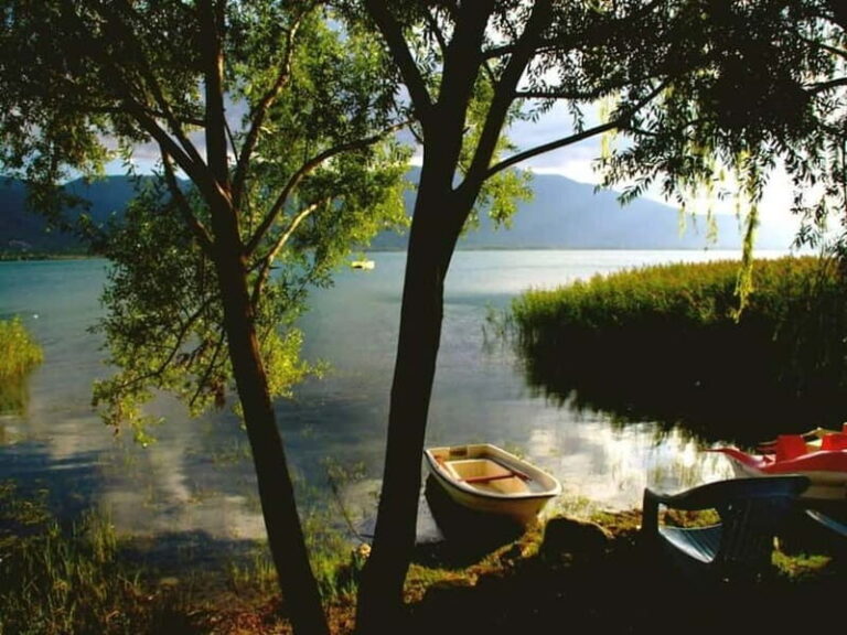 Guided Day Trip to Sapanca and Masukiye From Istanbul - The Itinerary in Detail