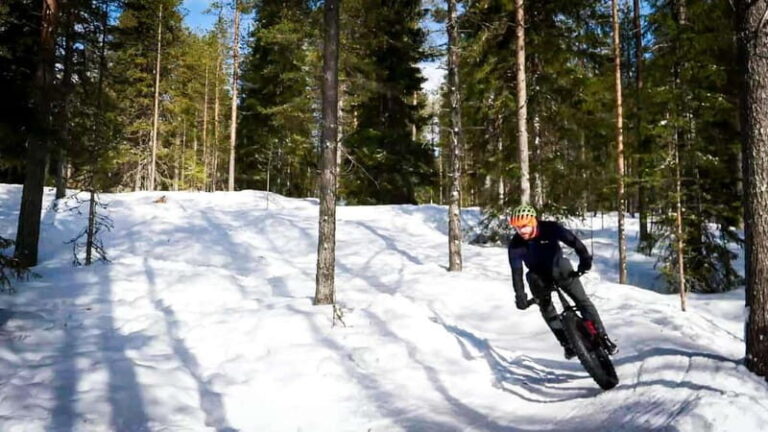 Guided Fatbike Tour in Ivalo - Why This Tour Offers Great Value