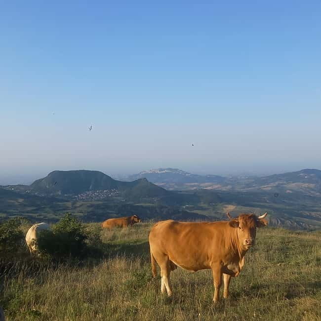 Guided hike on Mount Carpegna - What to Expect from the Mount Carpegna Guided Hike