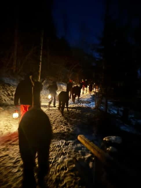 Guided llamawalk with a traditional, homemade cheesefondue - A Detailed Look at the Llamawalk Experience