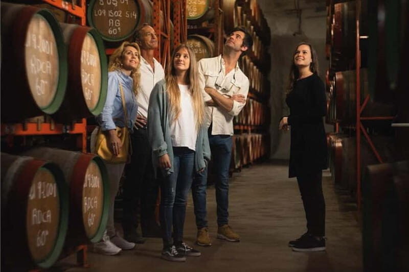 Guided Tour at Ron Arehucas Distillery - Practical Details: What You Need to Know