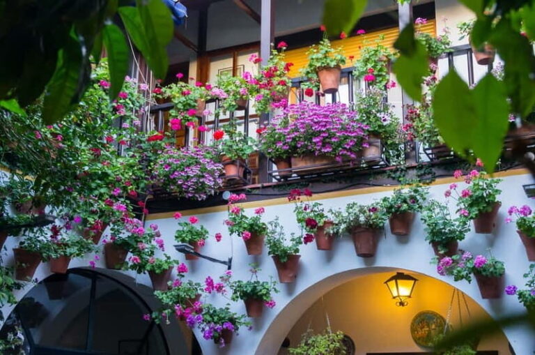 Guided tour in Spanish to the courtyards of Córdoba - The Charm of Córdoba’s Patios: What to Expect