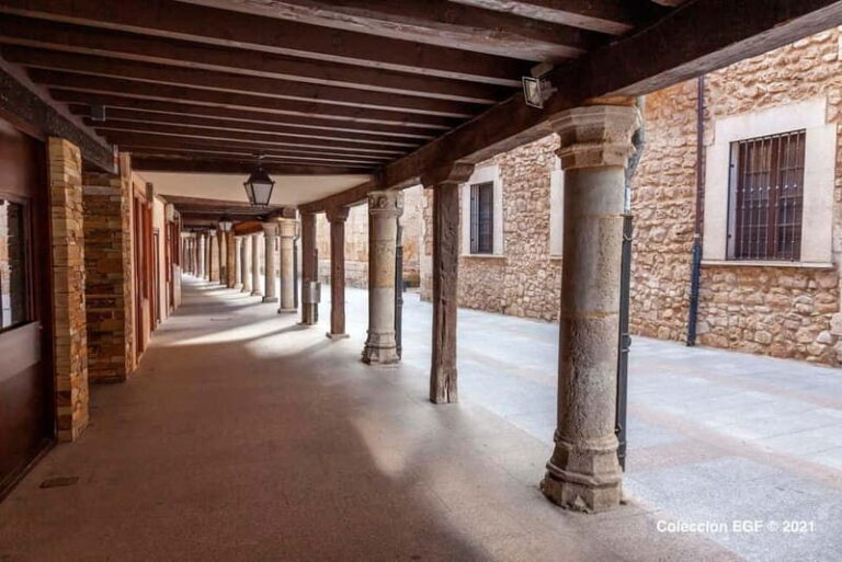 Guided tour of Burgo de Osma (by ECO-BUS) - Who Should Take This Tour?