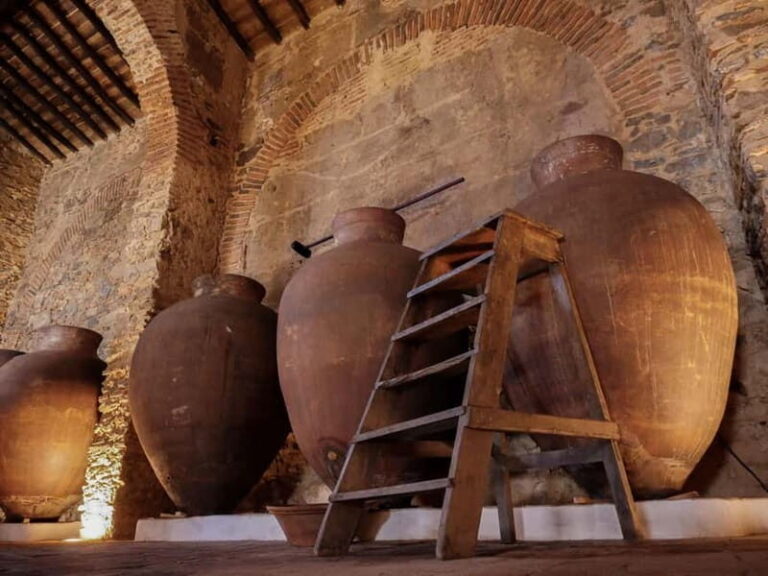 Guided tour of the Cella Vinaria Antiqua Wine Cellar Museum - The Detailed Itinerary