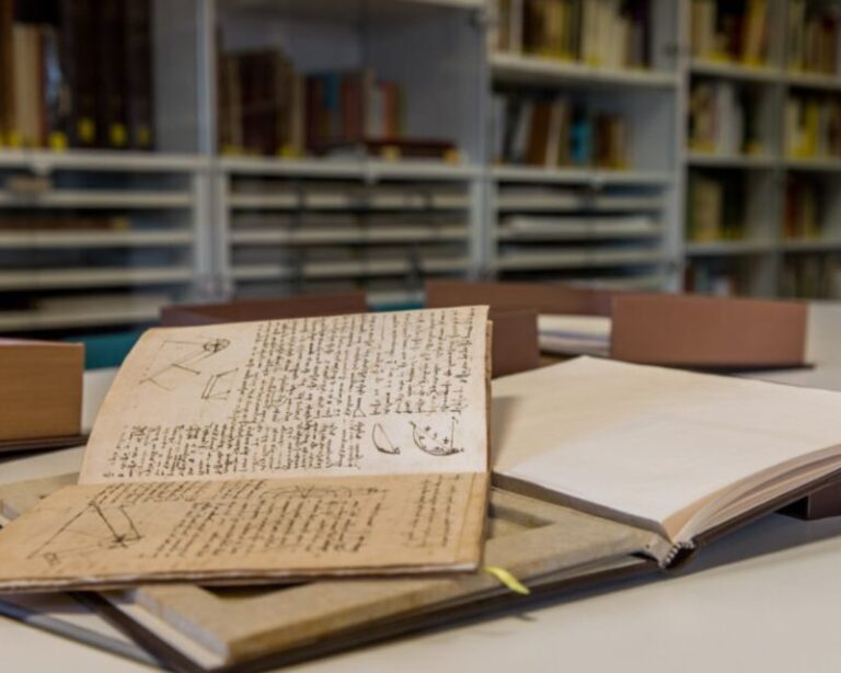 Guided tour to the editions of Leonardo's manuscripts - Who Would Love This Tour?