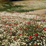 Guided visit to ancient Olympia with an Italian archaeologist tour guide - Exploring the Itinerary in Detail