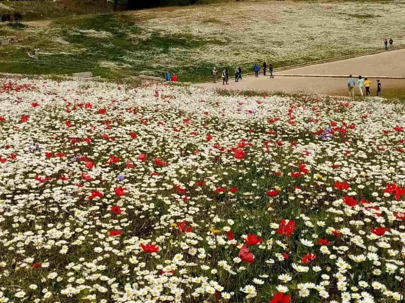 Guided visit to ancient Olympia with an Italian archaeologist tour guide - Exploring the Itinerary in Detail