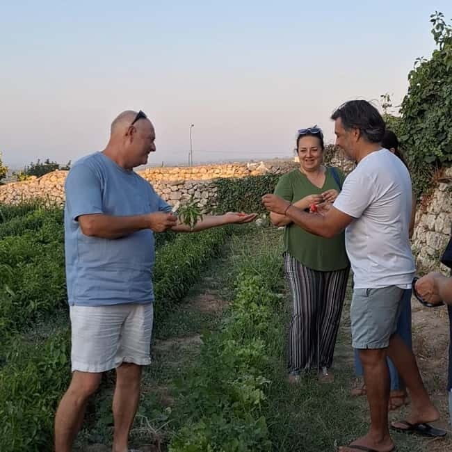 Guided visit to the Medieval Gardens of Ostuni - The Itinerary: A Closer Look