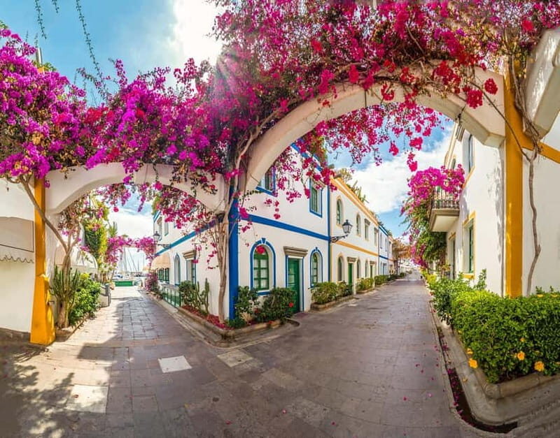 Guided walking tour of Puerto de Mogán - What to Expect from Your Tour