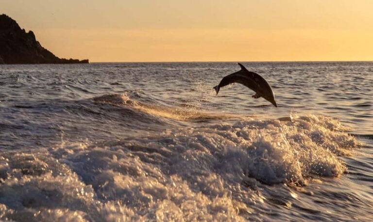 gulf of Ajaccio / Anse de cacao , swim stop - Practical Details and What to Expect