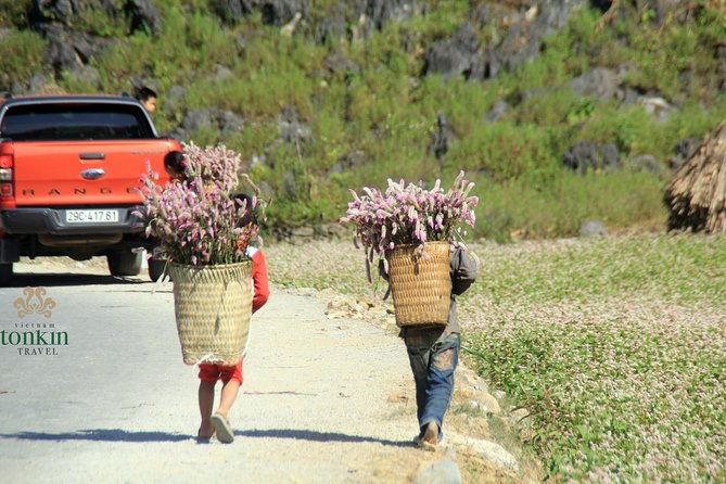 Ha Giang 3 days/ 2 nights adventure: Amazing adventure & mountain pictureques - The Itinerary in Detail  