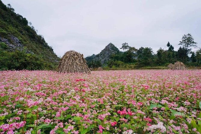 Ha Giang Loop 3D/2N Private Tour with Easy Rider - Why Choose This Tour?