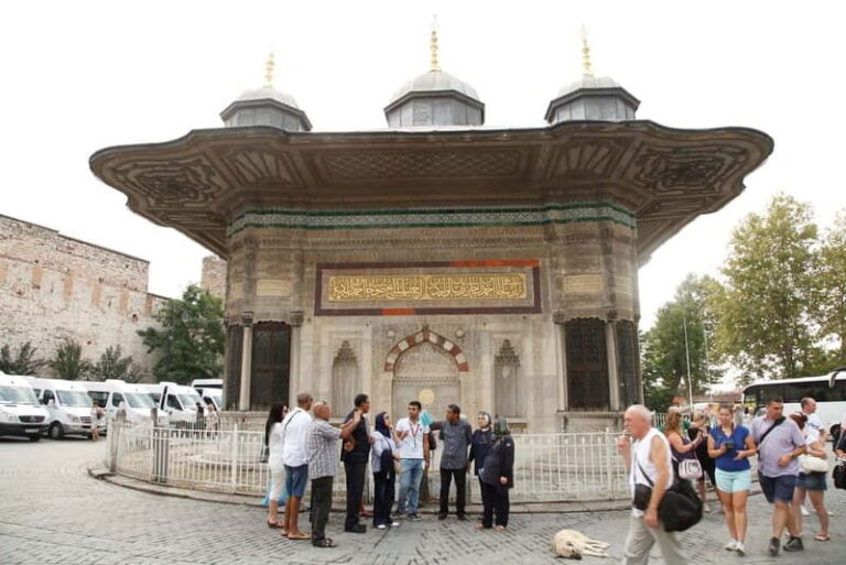 Hagia Sophia & Blue Mosque Half-day Guided, Small Group Tour - Authentic Insights from Reviewers