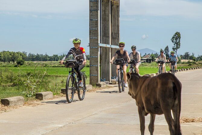 Half-Day Bike Tour in the Hoi An Countryside - Key Points  