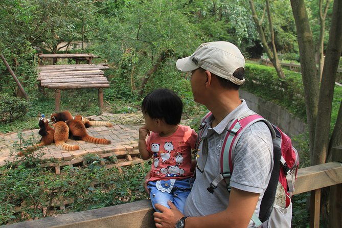 Half-Day Chengdu Panda Research Base Private Tour - Why Choose the Half-Day Chengdu Panda Research Base Private Tour?