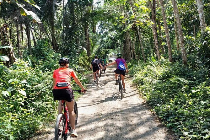 Half-Day Countryside Cycling Small-group Tour in Phuket - Exploring Phuket Beyond the Beaches: A Deep Dive into the Half-Day Countryside Cycling Tour