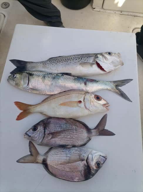 Half Day Fishing Trip - Why Choose This Fishing Trip?