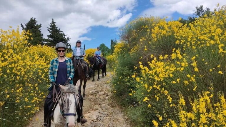 Half-day horseback riding day trip in Tuscany for beginners - Detailed Itinerary Breakdown