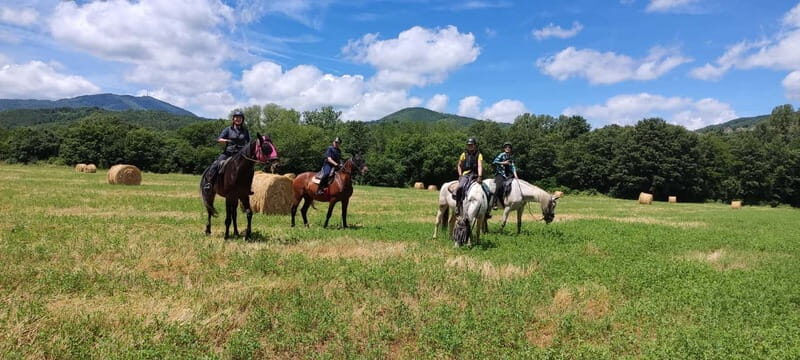 Half-day horseback riding day trip in Tuscany - The Itinerary: What Makes Each Stop Special