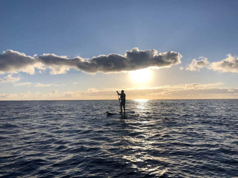 Half Day: Islet tour, snorkeling and Stand up Paddle. - Itinerary Breakdown: From Marina to Sea and Back