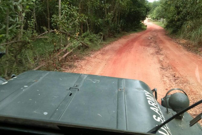 Half Day My Son Holy Land by Jeep from Hoi An - Exploring the My Son Holy Land in Style and Comfort
