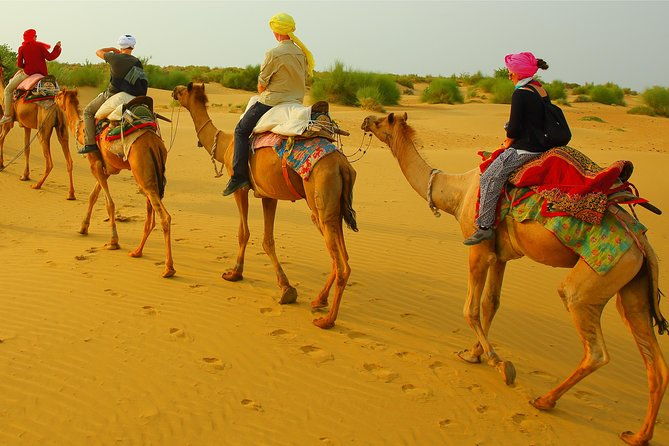 Half Day Overnight Desert Tour (Non Touristic) - Key Points