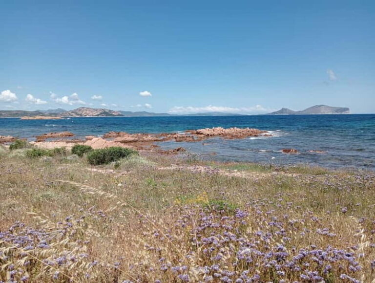 Half-day tour by dinghy in the Tavolara Marine Protected Area - Transportation and Accessibility