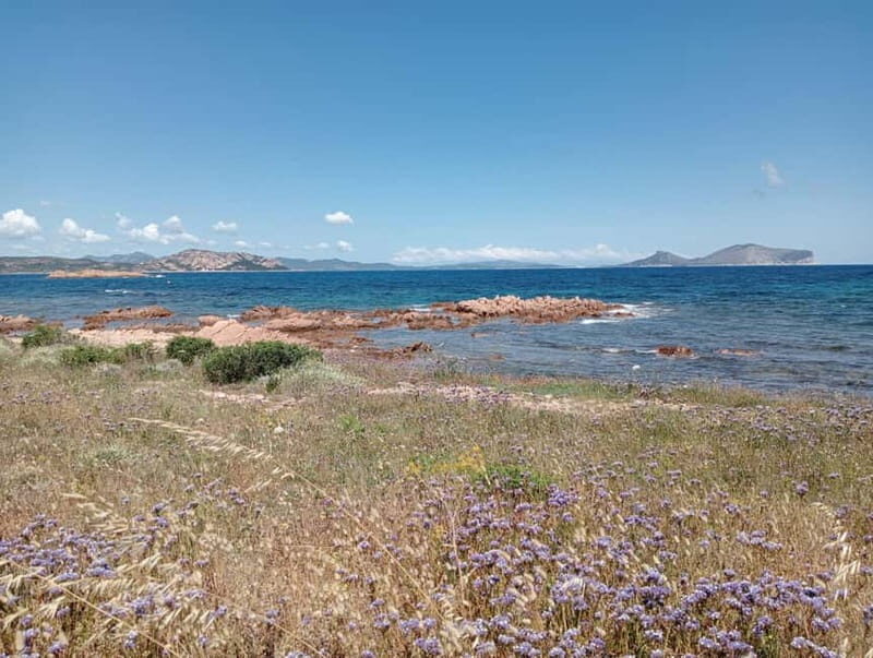 Half-day tour by dinghy in the Tavolara Marine Protected Area - Transportation and Accessibility