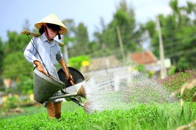 Half -Day Tra Que Herbal Village Tour from Hoi An - An Authentic Look at Tra Que Village: What to Expect