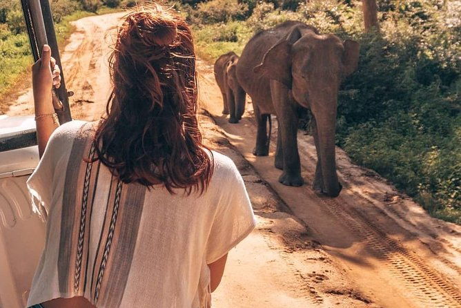 Half Day Udawalawe Safari from Kalutara (Entrance + Lunch) - Engaging the Wild: Our Review of the Half Day Udawalawe Safari from Kalutara