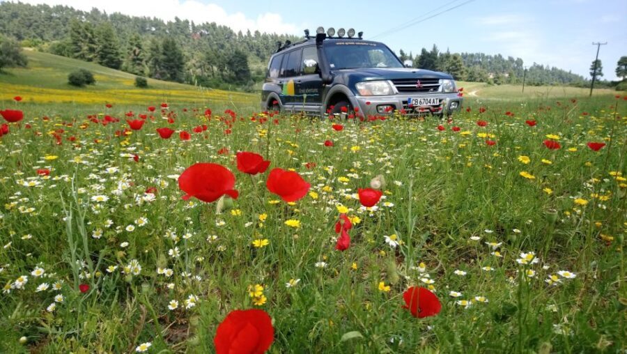 Halkidiki: Kassandra 4x4 Jeep Safari Off-Road Experience - The Itinerary Breakdown: What to Expect on Your Day