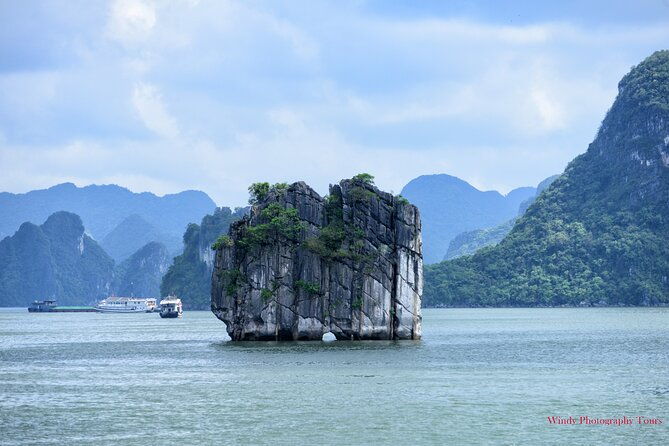 Halong Bay 6 Hours Cruise with Buffet, Sung Sot, Luon Cave, Titop - Why This Tour Offers Great Value