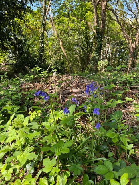 Hamble-le-Rice: Guided Walking Tour with River Views - Practical Details and Value