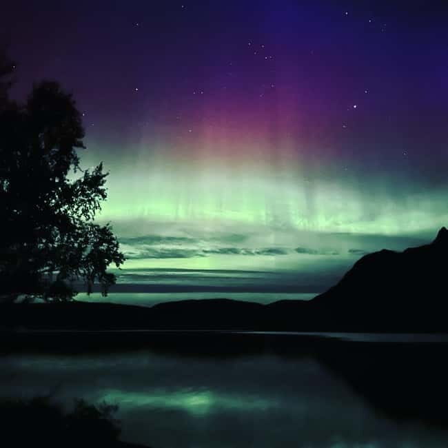 Harstad/Narvik: Northern Lights Tours with second day chance - The Itinerary Breakdown – What You Can Expect